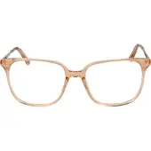 Taylor Morris Brillenfassung TM08 C3 53