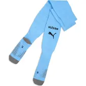 Puma SFV Plain Socks Replica GK