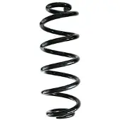 SPIDAN Fahrwerksfeder GKNW10189