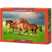 Castorland B-54084, 500 Stück(e), Tiere, 8 Jahr(e)