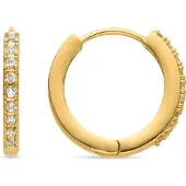 Luxenter Ohrringe mit glänzenden Zirkonia in 18K Gold - Ariuk