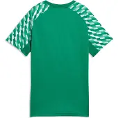 Puma teamLIGA26 Jersey Flock: - Größe: 152
