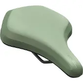 Newton Sattel Roy Minima