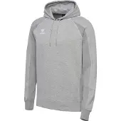 Hummel Move 2.0 Kapuzenpullover