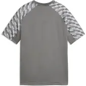 Puma teamLIGA26 Jersey Jr flat medium gray-white-flat light gray (13) 152