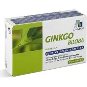 Avitale Ginkgo 100 mg + Vitamine C, E, B1 und Folsäure Kapseln