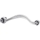 Delphi Querlenker, Radaufhängung TC3876 Hinterachse, links, hinten