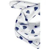 Fransa Silla