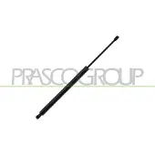 PRASCO Gasfeder, Koffer-/Laderaum FT9149059