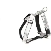 Martin sellier Disco