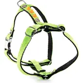 Martin sellier Fluoreszierendes Hundegeschirr