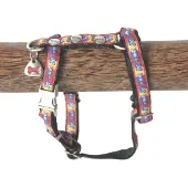 Martin sellier Bow