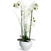 WDMT Luxus-Kunstorchidee (Phalaenopsis) in weißer Keramikvase – 53 cm
