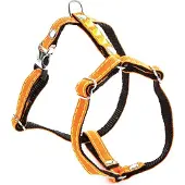 Martin sellier Fluoreszierendes Hundegeschirr