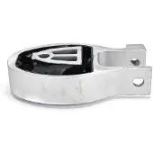 Delphi Lagerung, Motor TEM250