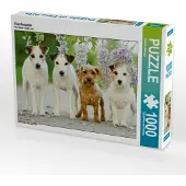 CALVENDO Vier Freunde 1000 Teile Puzzle quer 640x480mm, Köntopp Kathrin; 7404293