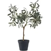 House Nordic Olive