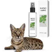 OEM Katzenkrautspray für Training und Entspannung mit Katzengras