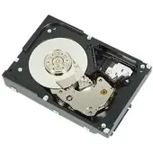 Dell HDD 1 TB 7,2K 3,5 Inch - 3.5 Zoll - 1000 GB - 7200 RPM