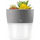 Setty Mini-Luftbefeuchter für den Schreibtisch, Diffusor, Blumentopf, künstliche Blumen