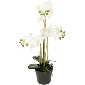 Viana Künstliche Orchidee im Topf für stilvolle Raumdekoration