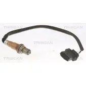 TRISCAN Lambdasonde 8845 24130