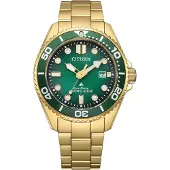 Citizen BN0262-59W Promaster Eco-Drive Herrenuhr 20 bar Goldfarben/Grün