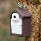 Cj Wildlife Nistkasten „Sevilla“ WoodStone Braun 32 mm | Vogelhaus Holzbeton |