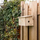 Cj Wildlife System-Nistkasten Sperling - Öffnung rechts | |
