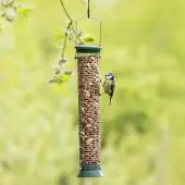 Cj Wildlife Erdnußsäule Kunststoff 38 cm Grün |
