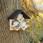 Cj Wildlife Dreifach-Erdnussbutter-Vogelfutterhaus Westport |