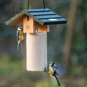 Cj Wildlife Energiekuchen-Haus Claviere |