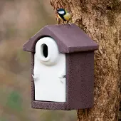 Cj Wildlife Nistkasten „Sevilla“ WoodStone Ovale Einflugöffnung Braun | Vogelhaus Holzbeton |