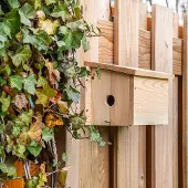 Cj Wildlife System-Nistkasten Sperling - Öffnung links | |