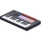 Novation FLkey 2 Mini 25 für FL Studio