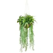 Creativ Green Kunstpflanze Dekokugel, im Topf, Höhe 80 cm