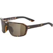 Alpina SWIFT, Multisportbrille, Uni, Vollrand, Multi, Mehrfarbig, Laufen, Mountainbike fahren