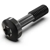 NVent SCREW TORX COL.M2.5X12.3 100X - Rack-Zubehör (21101783)
