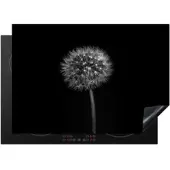 KitchenYeah Herdabdeckplatte Löwenzahn | Gr.: 77 x 51 cm