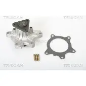 TRISCAN Wasserpumpe 8600 13014
