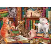 Eurographics Puzzle Koč ič í Bibliothek 1000 Teile