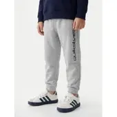 Quiksilver Jogginghose Graphics EQKFB03123 Grau Regular Fit