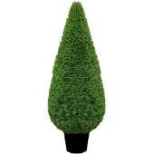 Fink Buchsbaum "Kegel" in Grün - H. 80 cm - B. 25 cm | Gr.: onesize