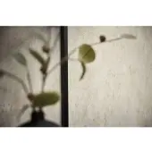 Living Walls Vliestapete "struktur Vliestapete in Beton-Optik Farbvarianten" urban strukturiert