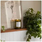 Möve Duftkerze Organic in lavendel | Gr.: onesize