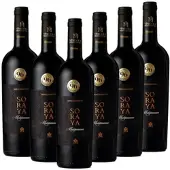 Soraya Appassimento Puglia IGP 0,75l
