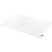 Schlafstil Ganzjahres-Kaschmirbettdecke Warm "N700" in weiß | Gr.: 200 x 220 cm