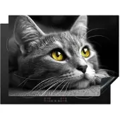 KitchenYeah Herdabdeckplatte Katze | Gr.: 70 x 52 cm