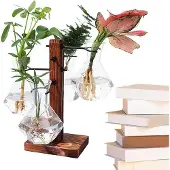 OEM Terrarium-Kultur-Set aus Glas für Hydroponik-Anlagen