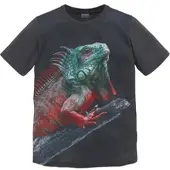 Kidsworld T-Shirt "Fotoprint: LITTLE LIZARD" Kurzarm, mit stylischem Leguan-Druck, Rundhalsausschnitt